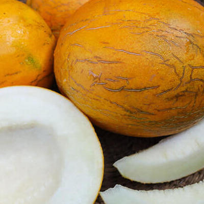 Honigmelone Kazakh (Cucumis Melo)