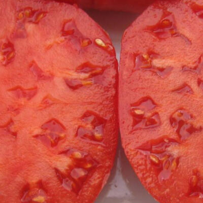 Crnkovic Jugoslavien (Ochsenherz)