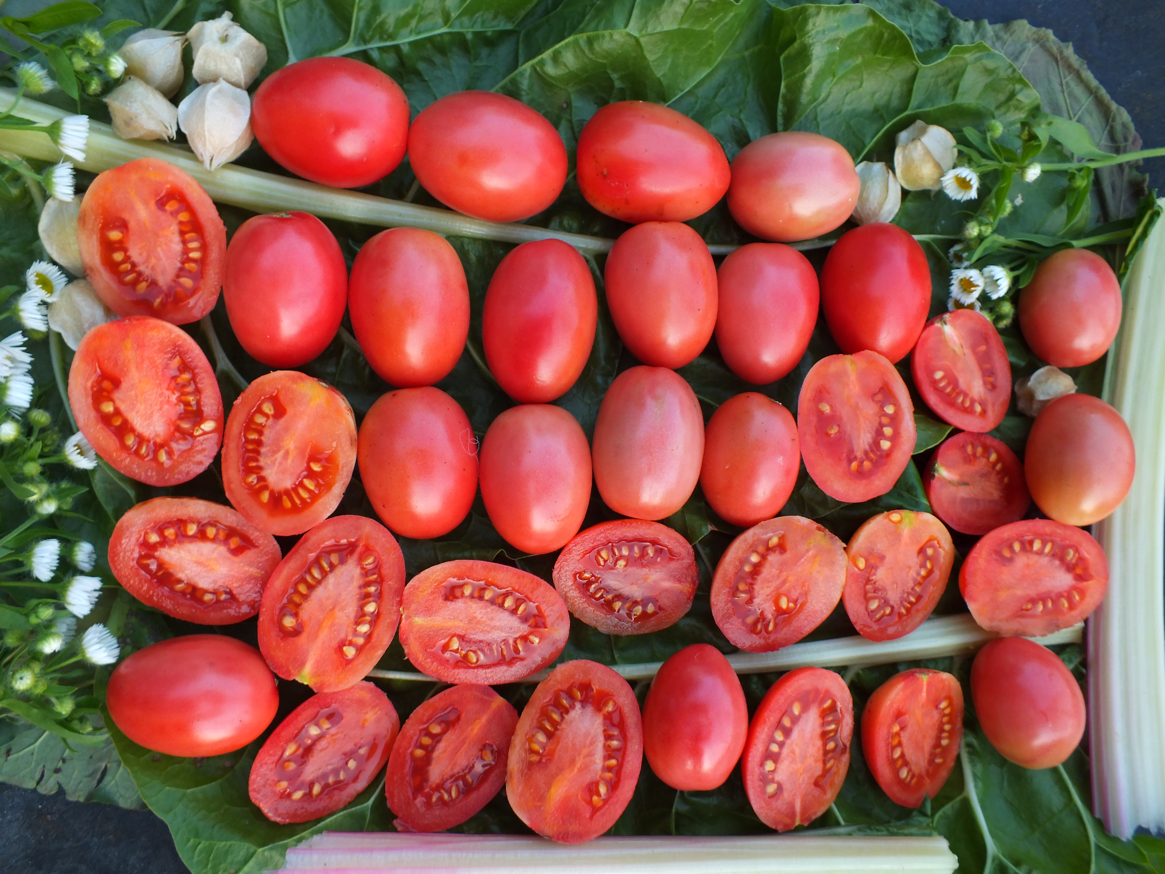 7-er Set Tomatenspezialitäten aus 7 Ländern Angebot