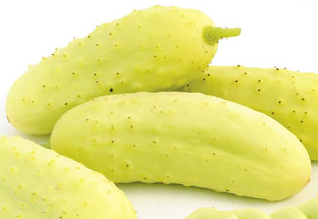 Salt and Pepper, Cornichon (Einlegegurke)