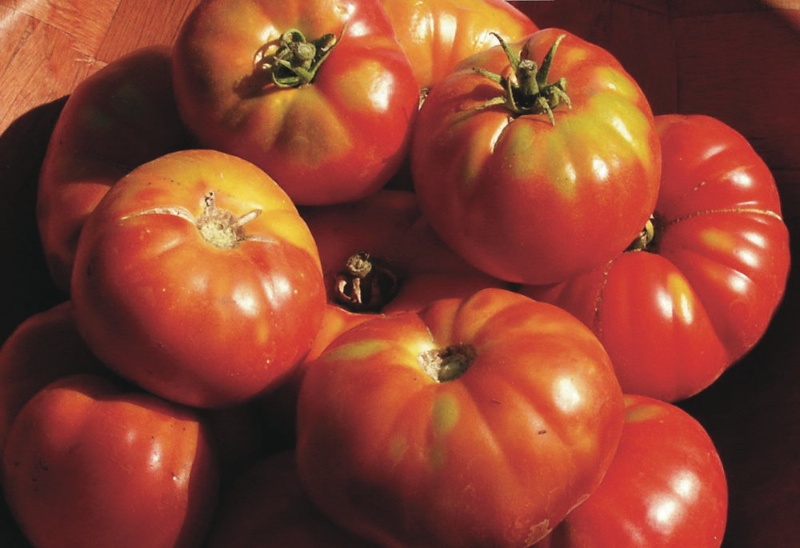 Altajsky Urozajnij Fleischtomate