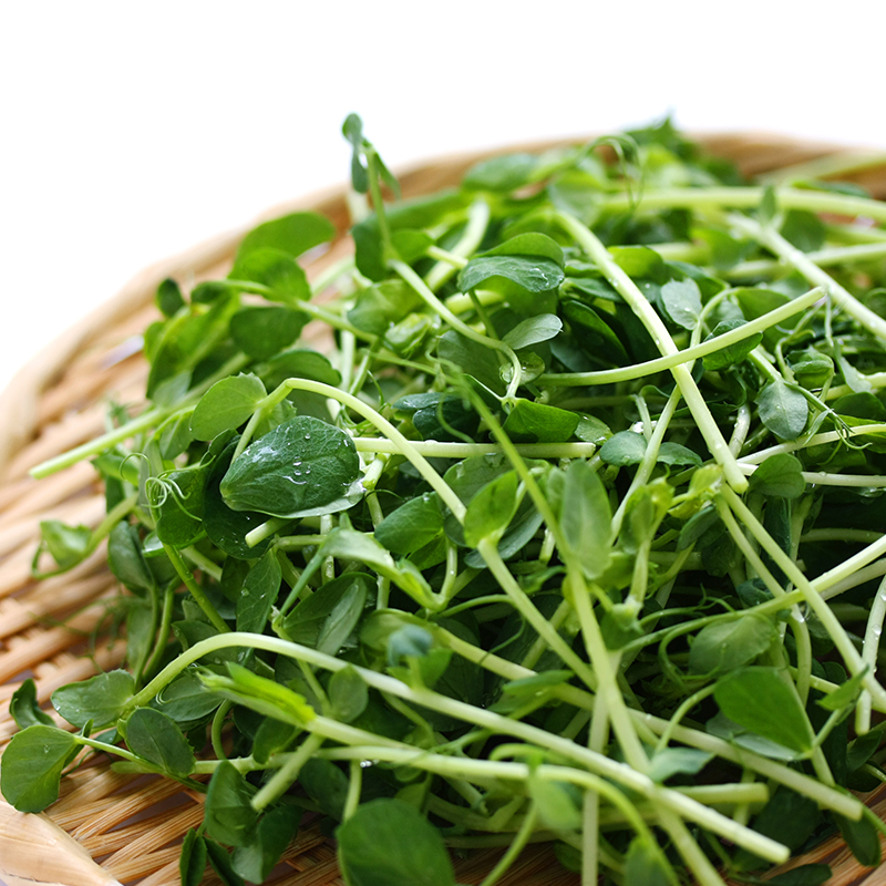 Keimsprossen Erbsen 50 g