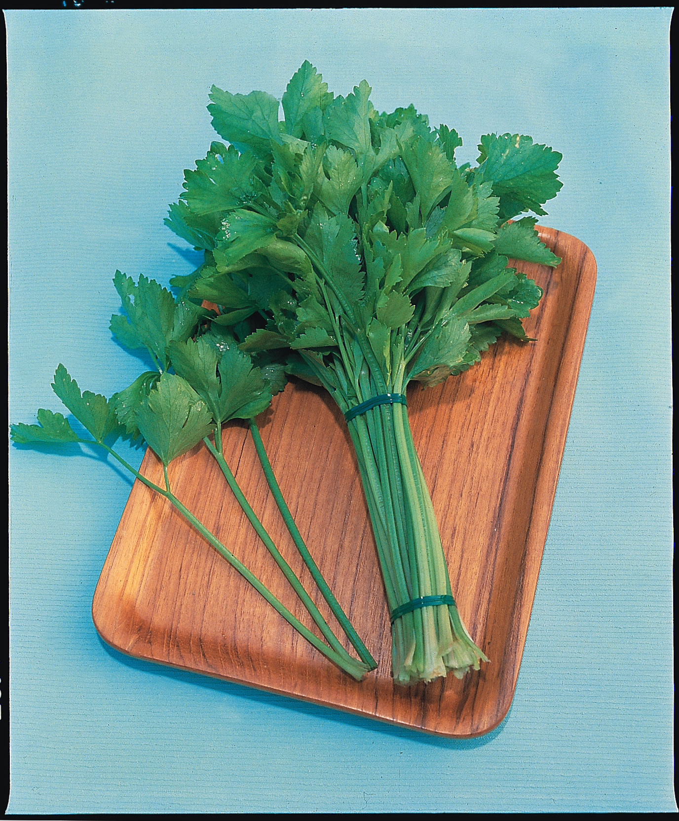 Kintsai Chinesischer Sellerie, wilder Sellerie