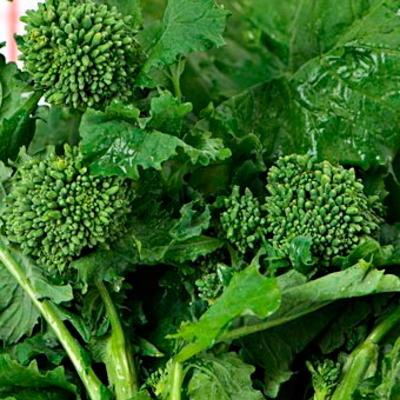 Brokkoli Cima Di Rapa Sessantina