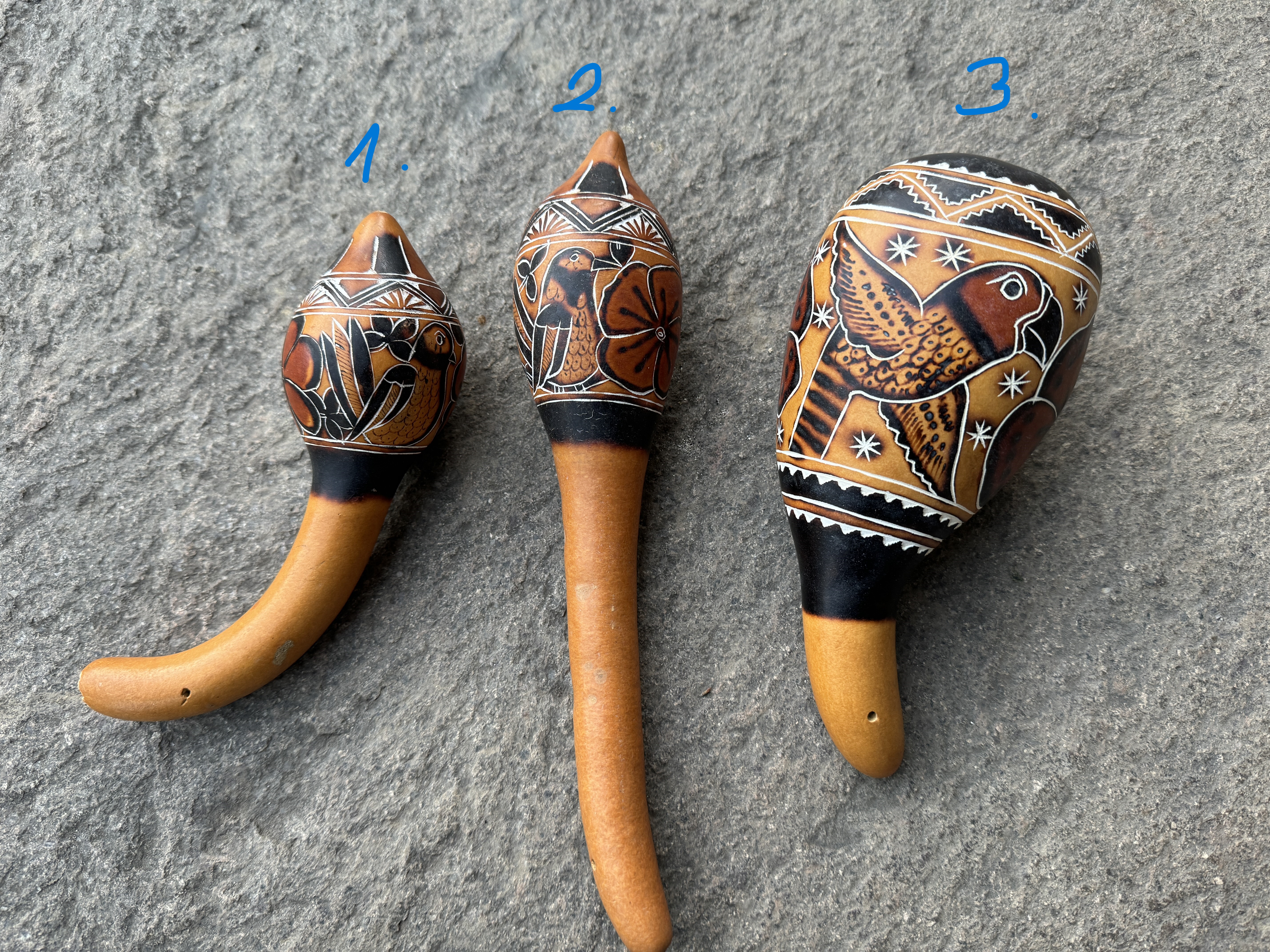 Kalebassen-Rassel-Papagei