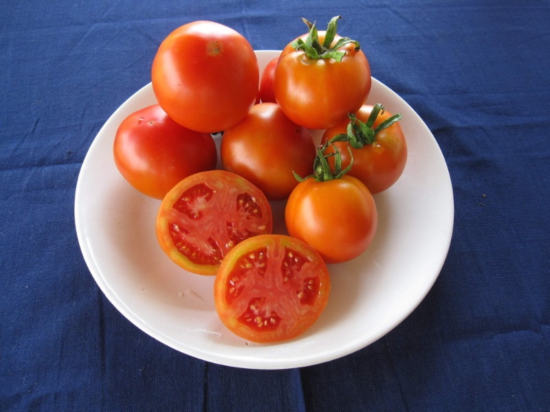 Bonner Beste (Bonny Best)