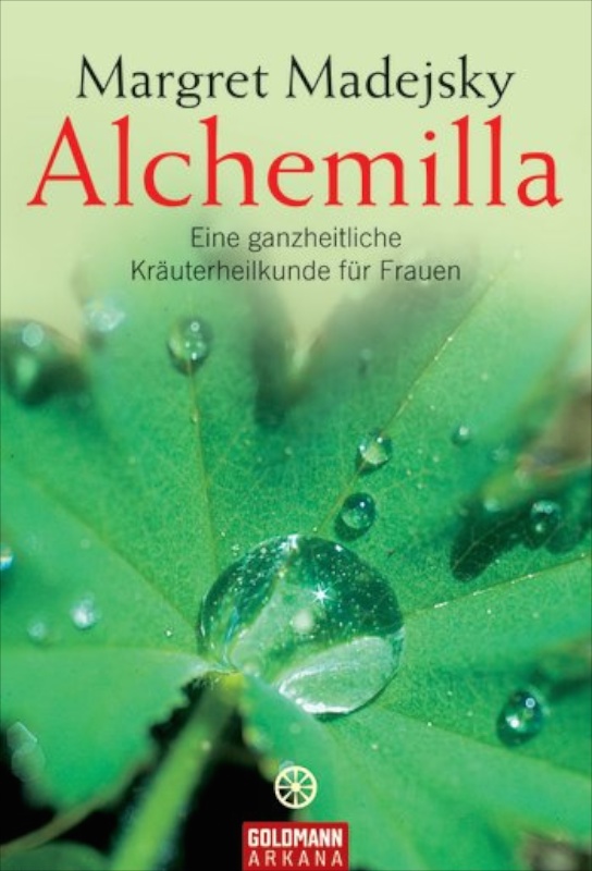 Alchemilla