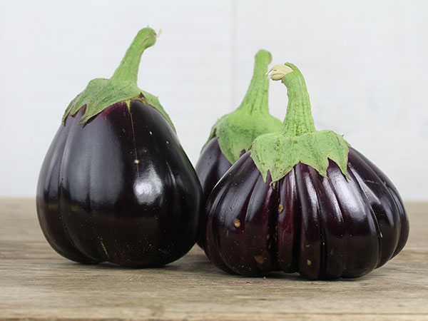 'Black Beauty', Aubergine