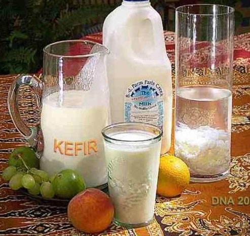 Kefir