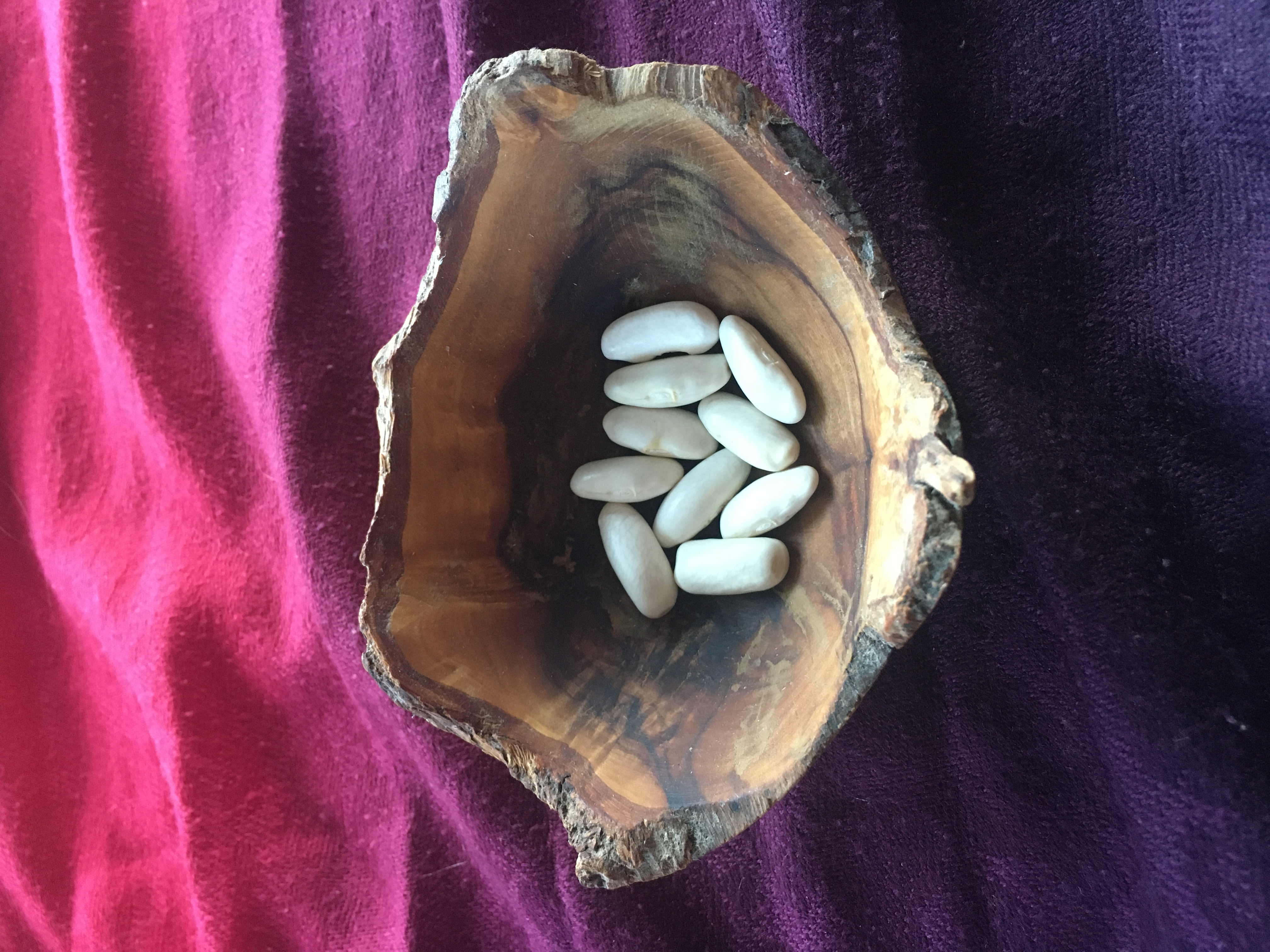 Fabada de Asturias Stangenbohne /Körnerbohne