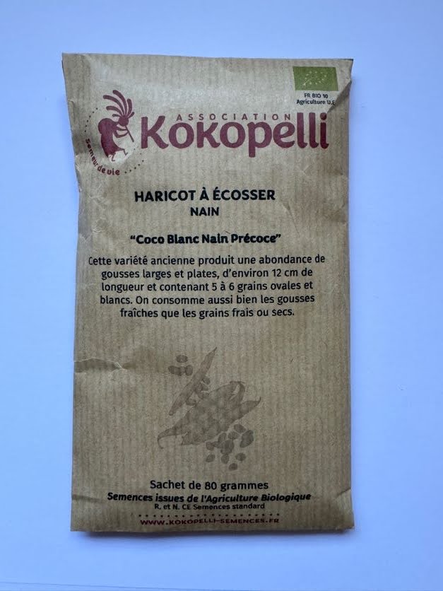 Coco Blanc Frühe  Busch-und Körnerbohne