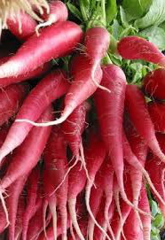 Rosa Winerrrettich aus China