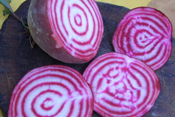 Barbabietola di Chioggia, Gestreifte Bete