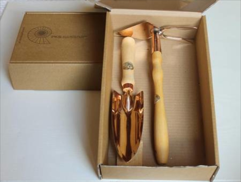 Set-Angebot Phoenix-Musca