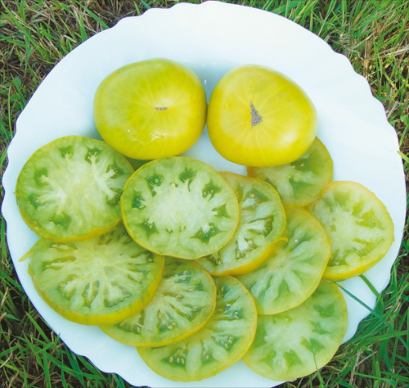 Evergreen-Fleischtomate