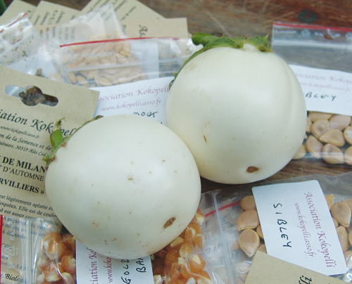 Aubergine 'Ovale Weiße' ('Golden Eggs')-Reduziert