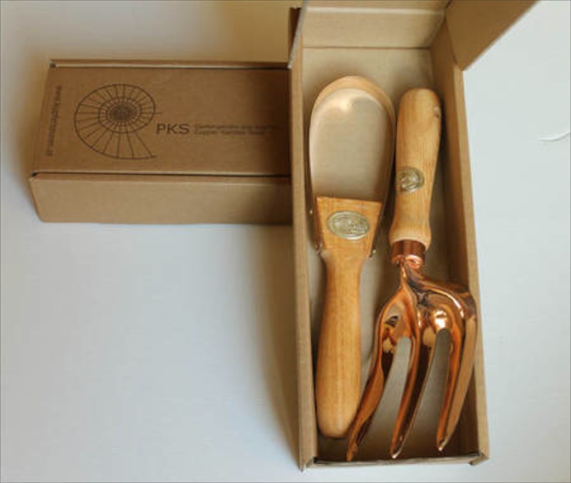 Set-Angebot Nunki-Vega