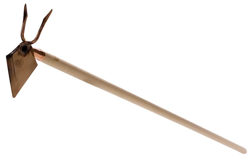 Kleinhaue Phoenix, lang