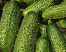 Kleine Grüne aus Paris, Einlegegurke