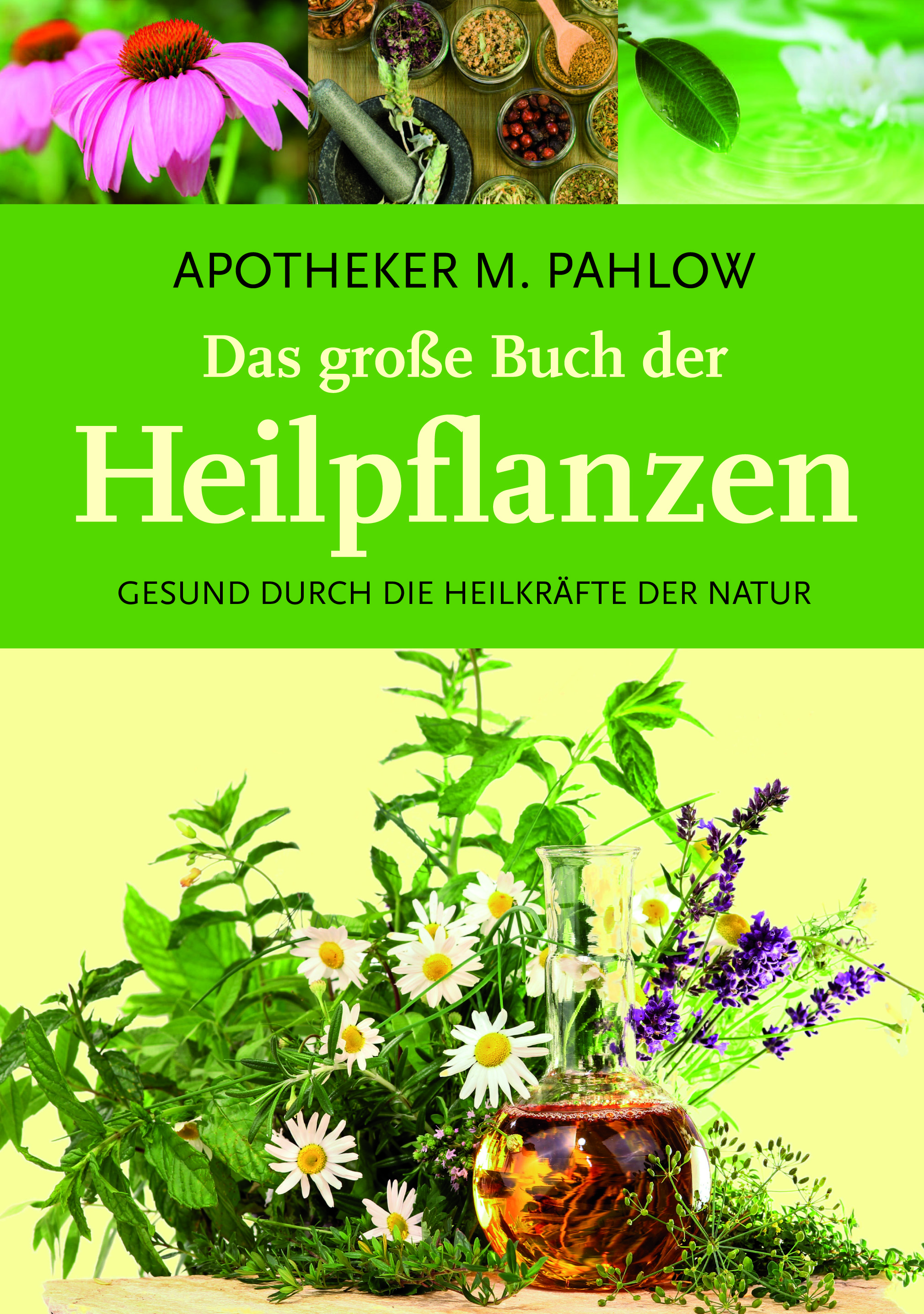 Das große Buch der Heilpflanzen - Apotheker M. Pahlow