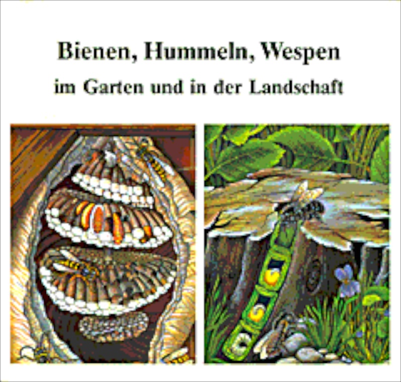Bienen, Hummeln, Wespen