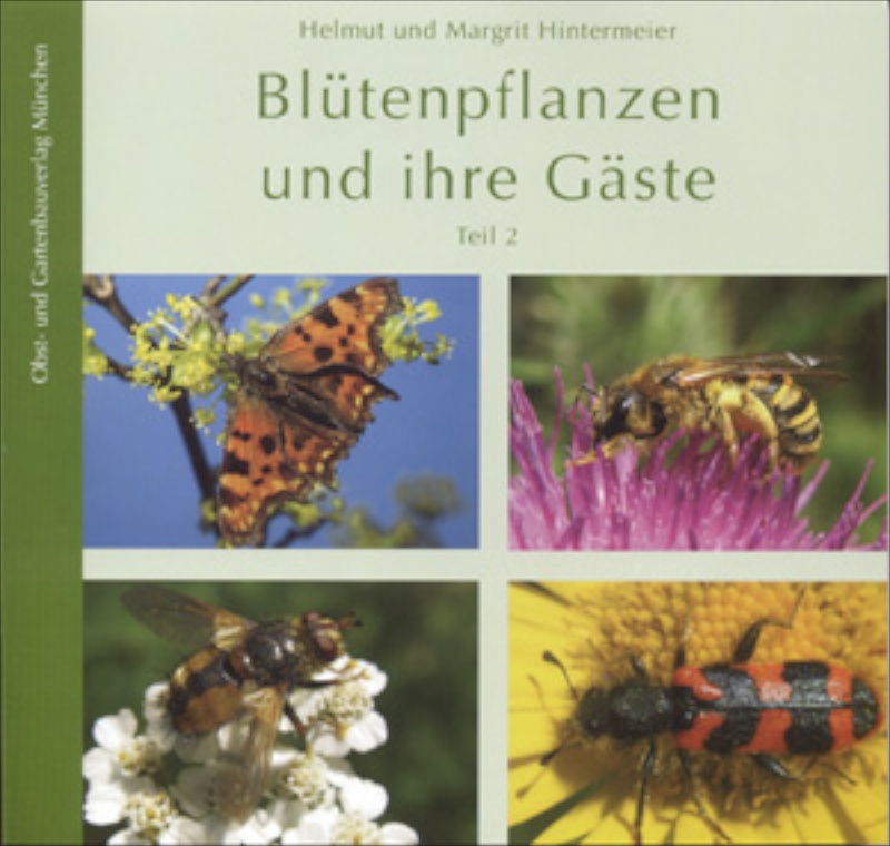 Blütenpflanzen und ihre Gäste Bd. 2