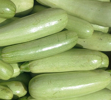 Odessa, Zucchini